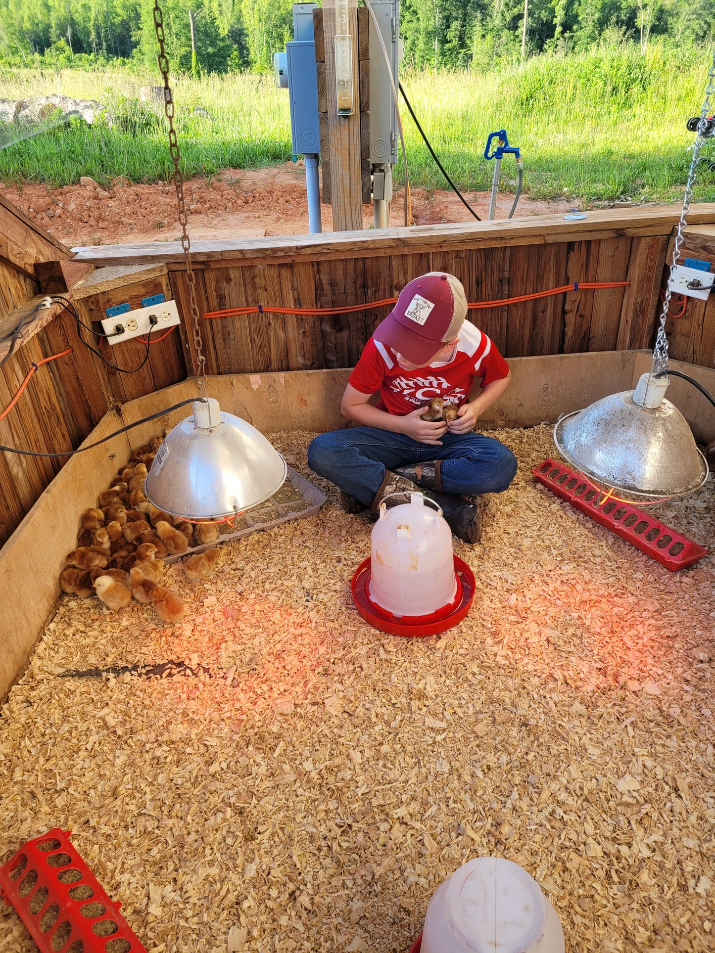 Cole's Eggcellent Soy Free Eggs [LOCAL PICK UP ONLY]