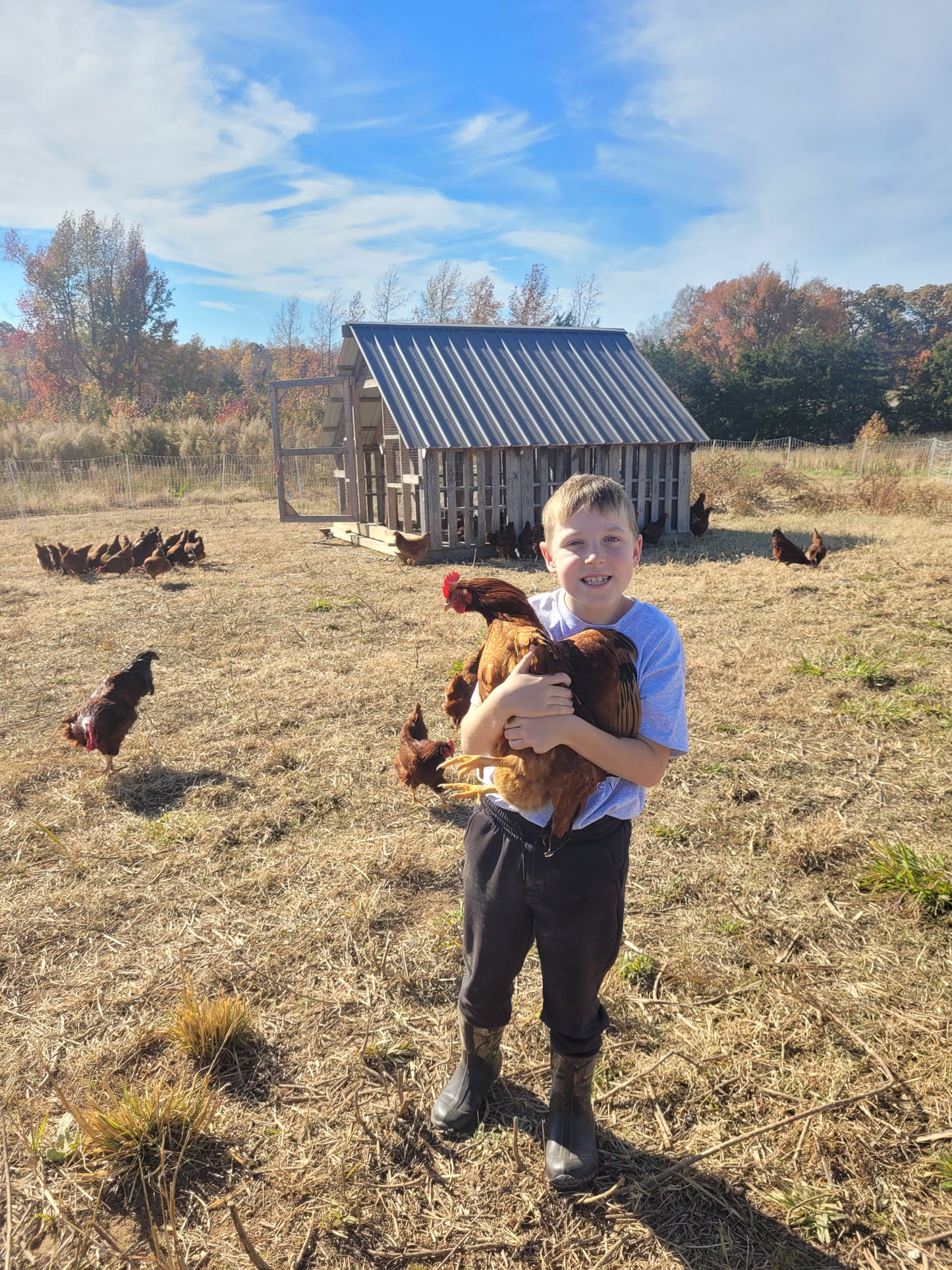 Cole's Eggcellent Soy Free Eggs [LOCAL PICK UP ONLY]